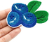 Blaubeeren bügeln auf kundenspezifischer gestickter materieller PMS Farbe des Flecken-Twill-