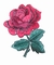 4&quot; roter Rose Flower Embroidered Iron On-Flecken mit klebender Rückseite